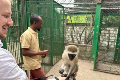 Zanzibar: Swim with Turtles at Baraka Aquarium and Zoo Park