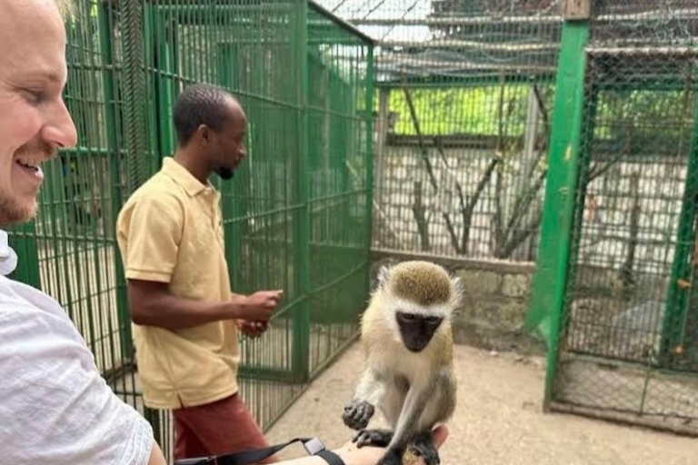 Zanzibar: Swim with Turtles at Baraka Aquarium and Zoo Park