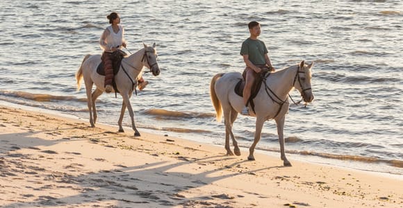 Horseback Riding On The Beach At Sunset