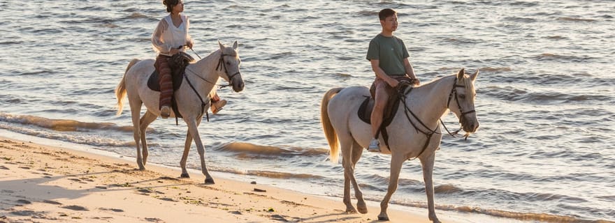 Balade à cheval sur la plage au coucher du soleil