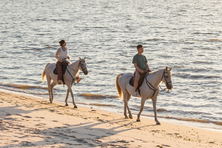 Horseback Riding On The Beach At Sunset