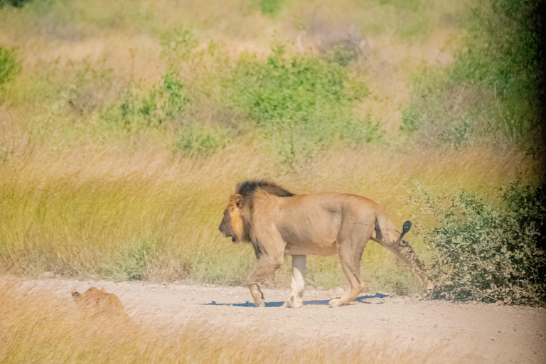 Samburu National Reserve 3-Day Safari from Nairobi