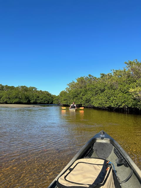 Naples, FL: Manatees, Grasslands and Mangroves kayak Tour | GetYourGuide