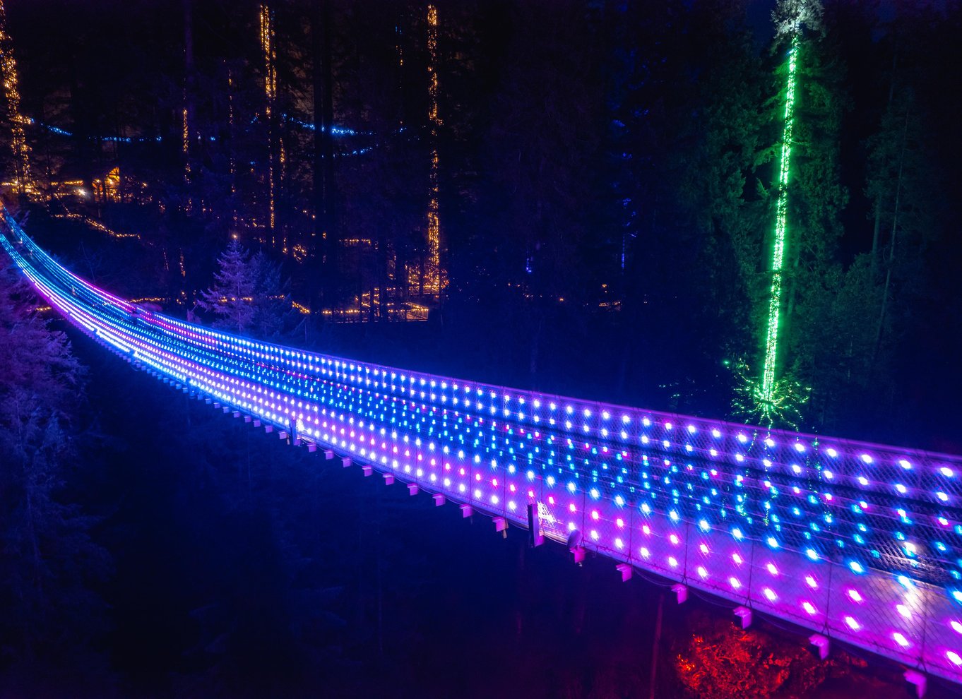 Vancouver: Capilano Suspension Bridge Park billet