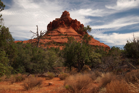 From Phoenix: Vortex to Vineyard Shared Tour Private Group 1-5