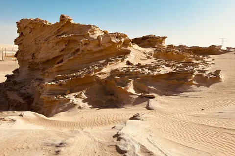 Abu Dhabi : Visite des dunes fossiles et de la piste de course de chameaux
