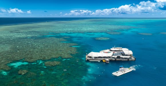 Cairns: Full-Day Great Barrier Reef Day Trip