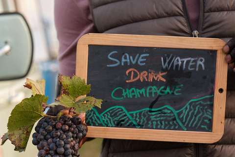 From the vines to the Champagne glass with a vintage car The heart of the Champagne region