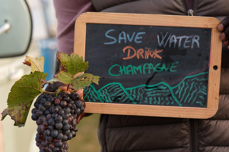 From the vines to the Champagne glass with a vintage car The heart of the Champagne region