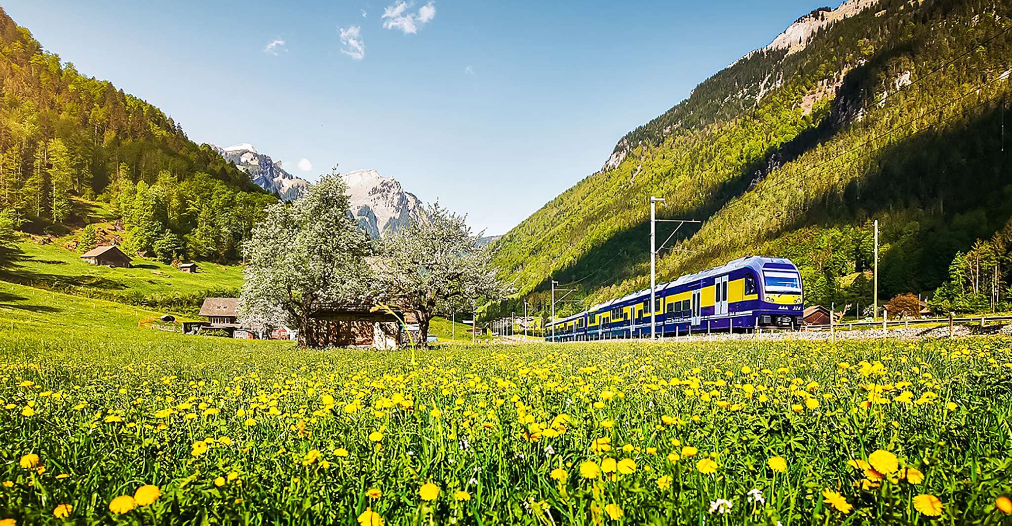 Zurich, Day Trip to Grindelwald & Interlaken by Bus & Train - Housity