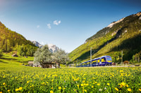 Zurich, Day Trip to Grindelwald & Interlaken by Bus & Train - Housity