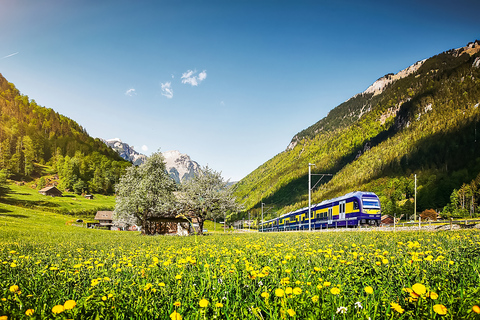 Zürich: Dagsutflykt till Grindelwald &amp; Interlaken med buss &amp; tåg