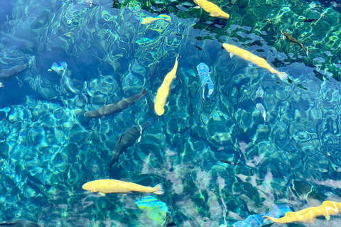 Tokyo : Excursion d'une journée à la 5e station du Mont Fuji, dans la région du Fuji et à Kawaguchiko8:20 Rendez-vous au bureau de poste de Shinjuku