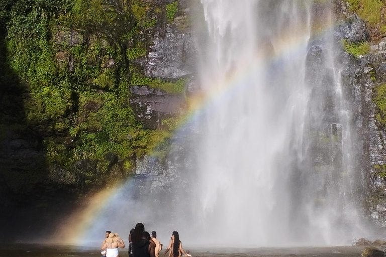 Regione di Volta; Santuario delle scimmie di Tafi Atome e cascata di Wli ...