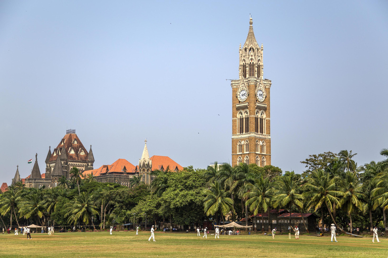 Mumbai: Accessible City Tour with Lunch