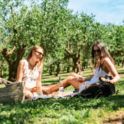 Farm Picnic for 2 adults