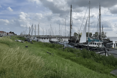 Amsterdam: E-Bike, Cheese, Windmill & Countryside Tour