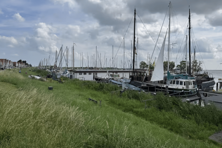 Amsterdam: E-Bike, Cheese, Windmill & Countryside Tour