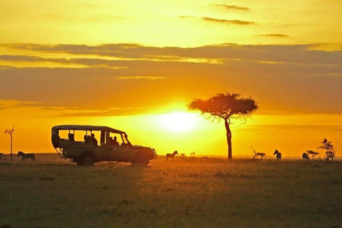 Nairobi: National Park Night Game Drive