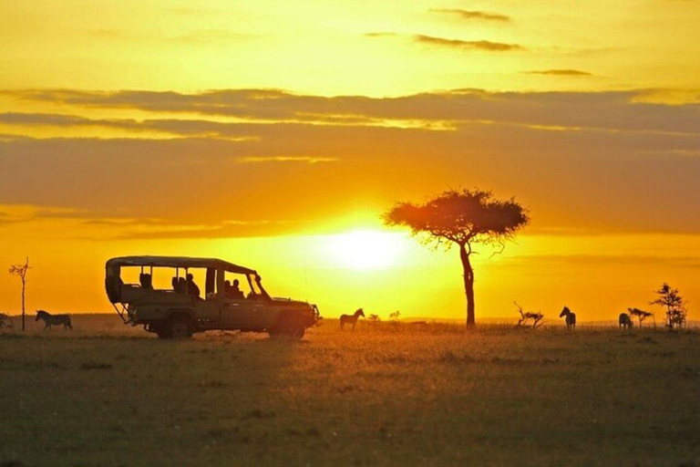 Nairobi: National Park Night Game Drive
