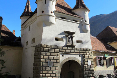 Bucharest Private: Peleș Castle, Bran Castle, Brașov Tour
