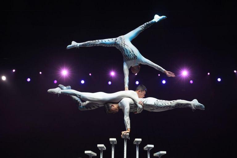 Beijing: Red Theatre Acrobatics Show Ticket-Local Must-See Acrobatics Show Ticket 380-good view and sound