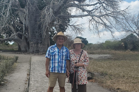 Bagamoyo tour (wycieczka 1-dniowa) z Dar-es-Salaam