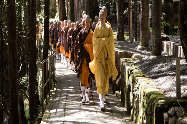 Wakayama: Private Tour to Nachi Falls & Mount Koya