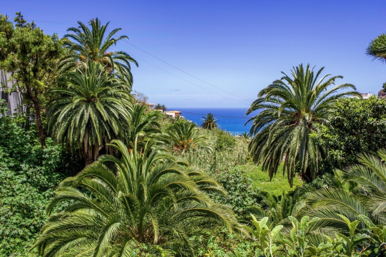 Tenerife: Anaga Rural Parc Plein-Jour Visite guidéeTénérife: visite guidée d'une journée au parc rural d'Anaga