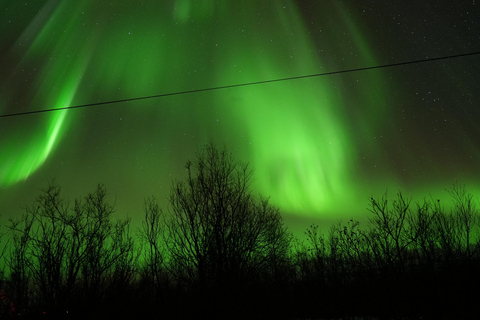 Tromsø: English/Spanish Aurora Pathfinder Tour with Photos Tromsø: English/Spanish Aurora Hunting Private Minibus Tour