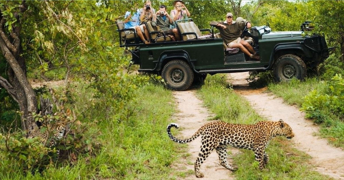 Kruger National Park 4 Day Tour From Johannesburg GetYourGuide kruger-national-park-4-day-tour-from-johannesburg-getyourguide