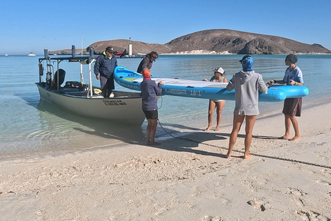 La Paz: Sea Lions & Mega-Paddleboard Tour in Espiritu Santo