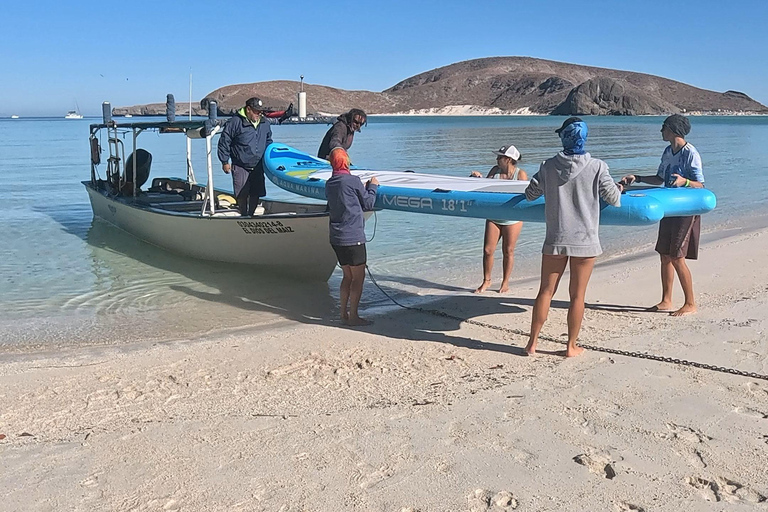 La Paz: Sea Lions & Mega-Paddleboard Tour in Espiritu Santo