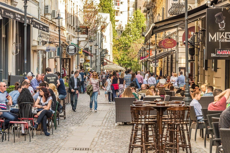 Bucarest: Tour guidato a piedi personalizzato con una guida localeTour di 3 ore