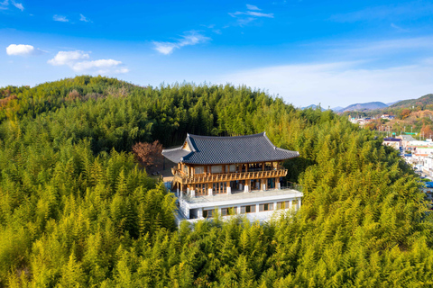 Busan: Damyang Juknokwon Bamboo Forest & Metasequoia Road Damyang Autumn Group Tour, Meet at Busan Subway Station