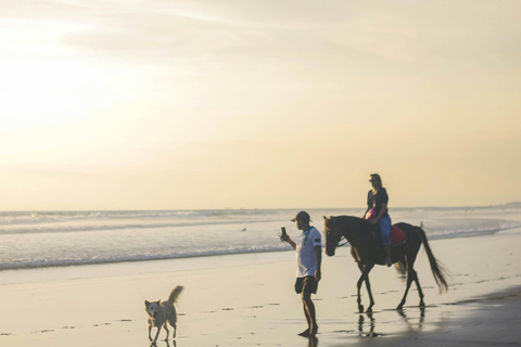 Fiji: Scenic Mountain View Horseback Experience