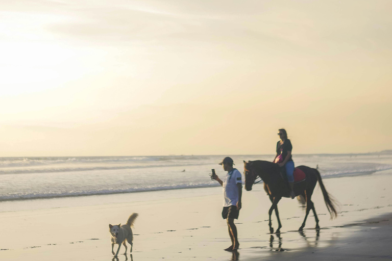 Fiji: Scenic Mountain View Horseback Experience