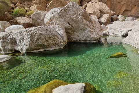 From Muscat: Wadi Al Arbieen Adventure, Sinkhole, Fins Beach