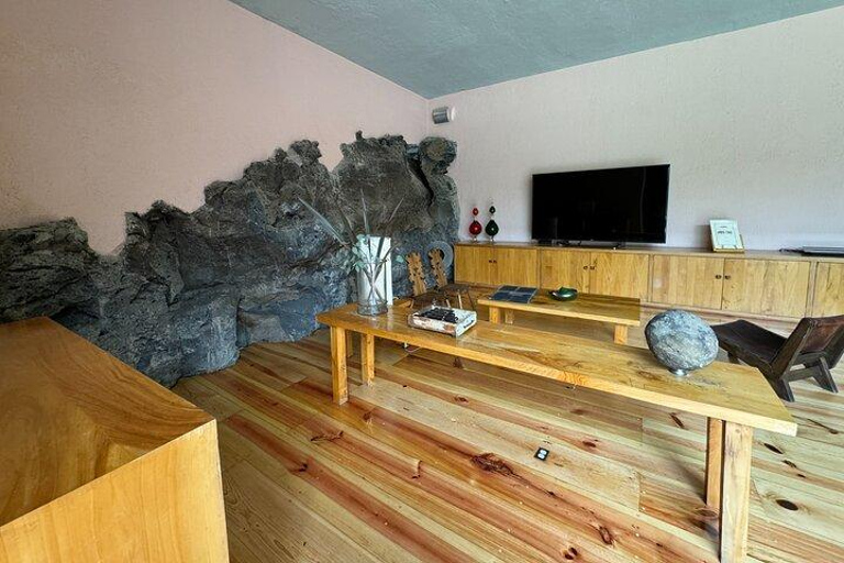 CMDX: Luis Barragan Legacy Exclusive Tour at Casa Pedregal