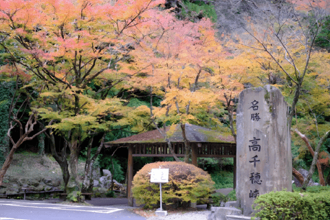 From Fukuoka: Miyazaki, Takachiho Gorge and Shrines Day Tour