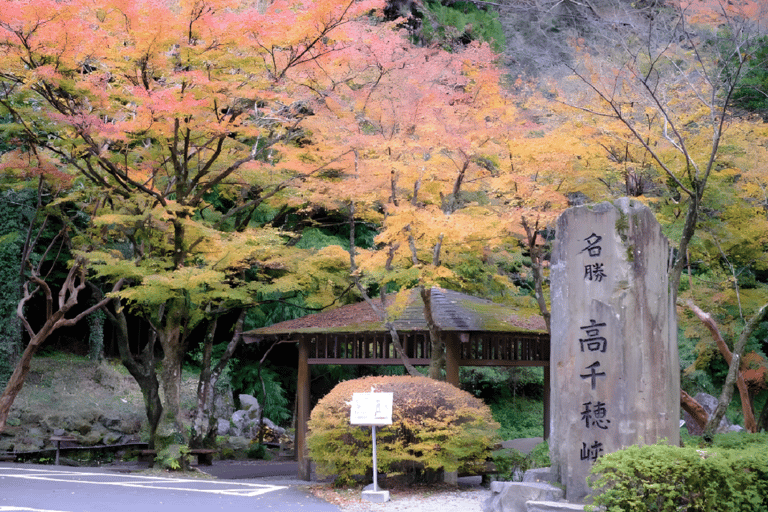 From Fukuoka: Miyazaki, Takachiho Gorge and Shrines Day Tour