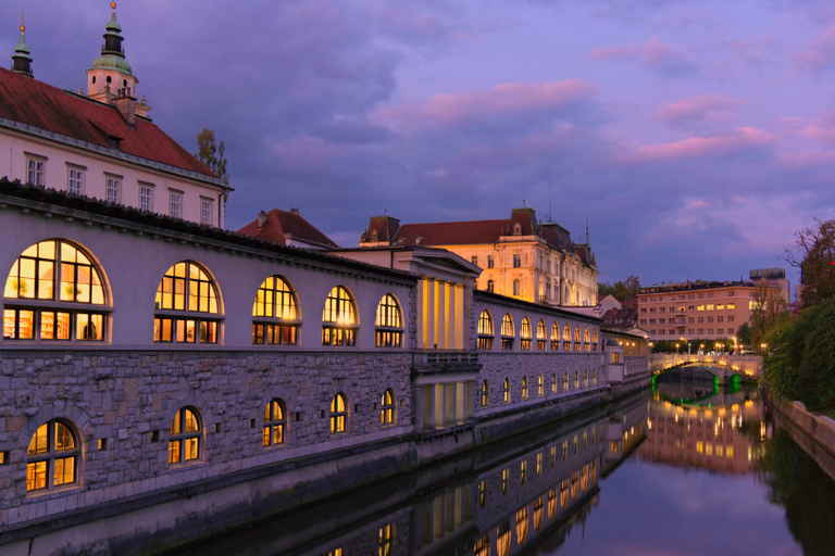 Ljubljana: Private Guided Tour
