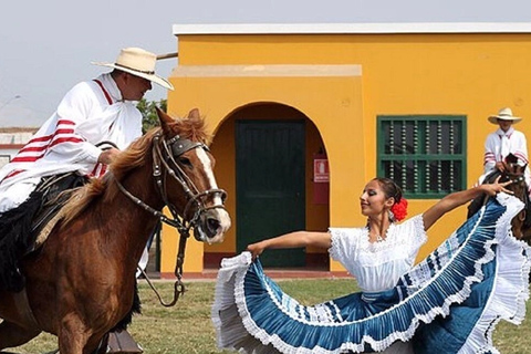 Trujillo : Spectacle de Marinera avec des chevaux de Paso péruvien