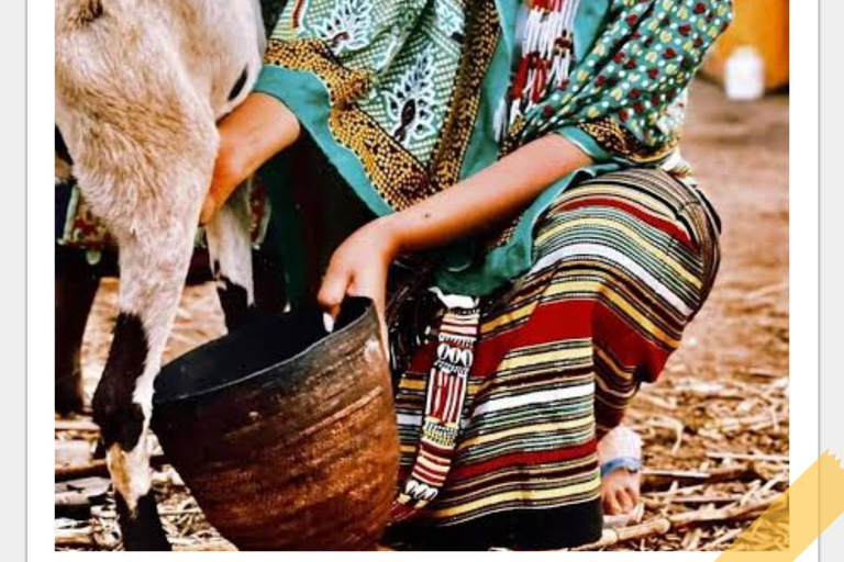 Semera: Nomadenstamm der Afar und Danakil-Wüste mit ortskundigem Guide