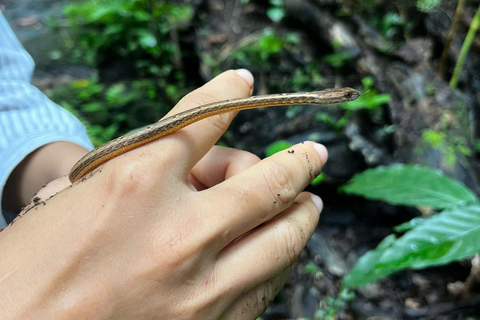 From Ho Chi Minh: Cat Tien National Park 2-Day Tour