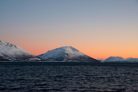 Tromsø : Croisière dans les fjords de l'Arctique dans les paysages polaires