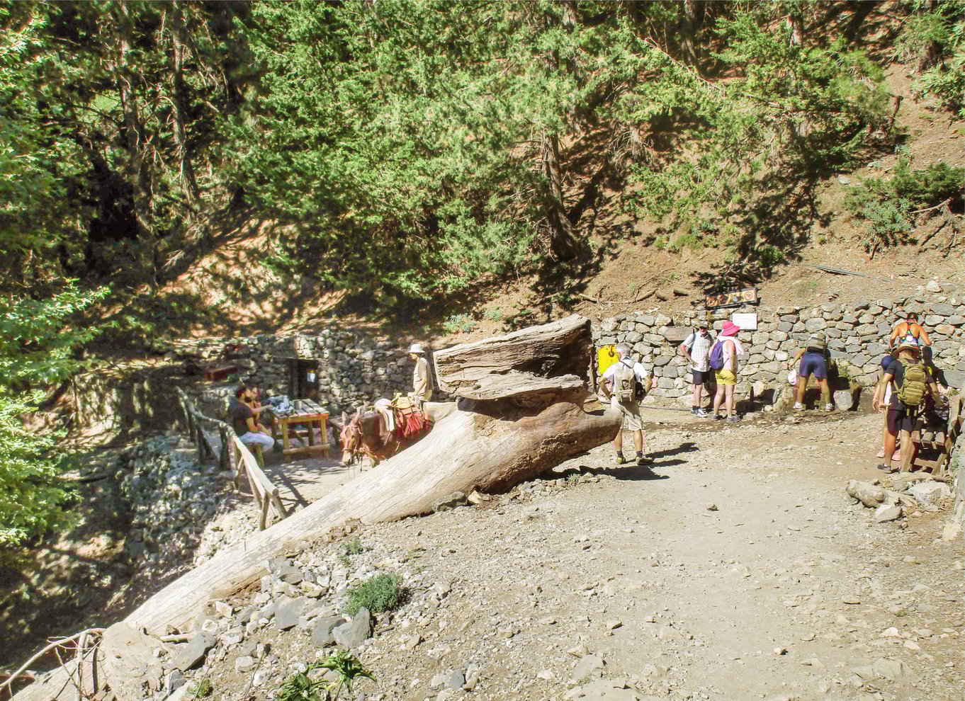 Fra Chania: Heldagsudflugt i Samaria-kløften med guide