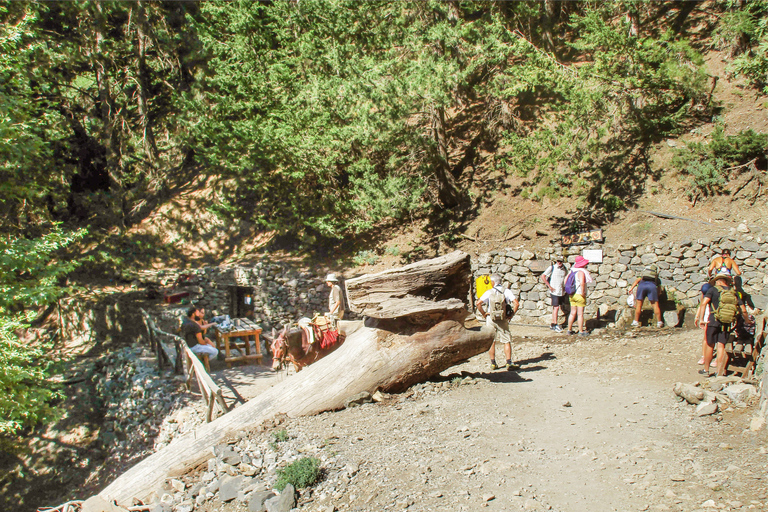 De Chania: Caminhada de 1 Dia à Garganta de SamariáDe Kalyves ou Almyrida