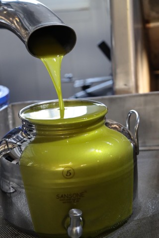 Visit Cyprus Olive oil Tasting & Olive mill in Nicosia