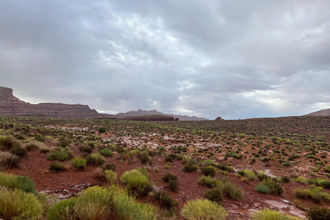 Moab: Aventura panorámica en todoterreno 4x4 de 3 horas de duraciónVisita en grupo